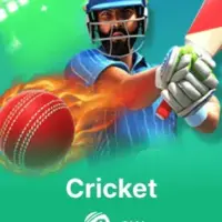 9W Cricket game in K1 Game app